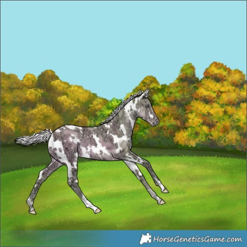 Horse Color:Watercolor White Spotted Chocolate Silver Smoky Creme Chinchilla Ice 