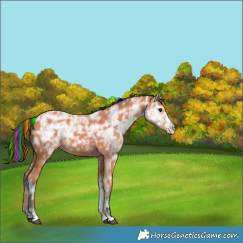 Horse Color:Painted White Spotted Bay Ice 