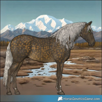 Horse Color:Silver Buckskin 