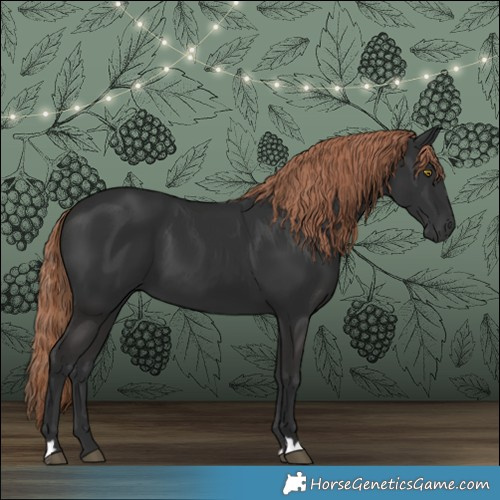 Horse Color:Liver Chestnut 