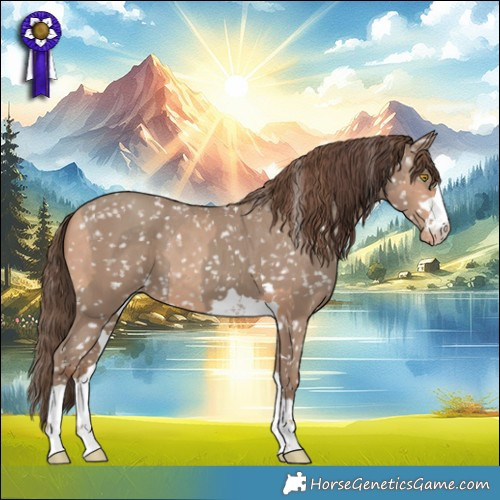 Horse Color:Amber Champagne Appaloosa  and Classic Champagne Appaloosa 