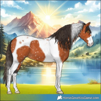 Horse Color:Bay Tobiano Snowflake Varnish