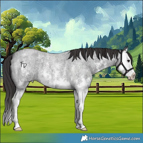 Horse Color:Smoky Blue Roan Sabino Splash