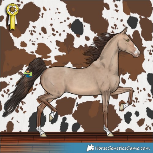 Horse Color:Sable Champagne Dun 