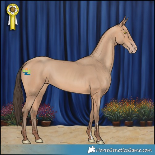 Horse Color:Amber Champagne 