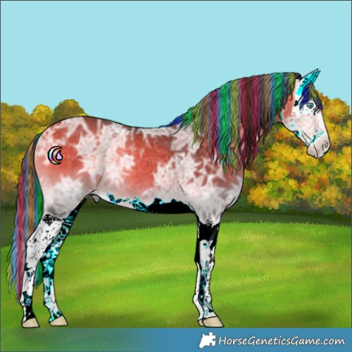 Horse Color:Painted Buckskin Ice Onyx Splash 