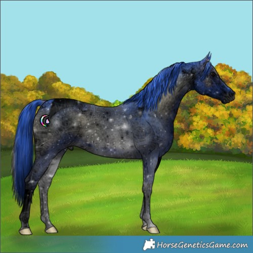 Horse Color:Void Watercolor White Spotted Blue Onyx Tobiano 