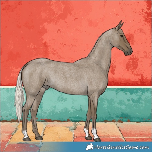 Horse Color:Silver Smoky Blue Roan 
