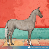 Horse Color:Silver Smoky Blue Roan