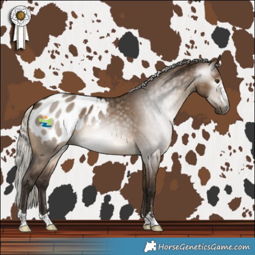 Horse Color:Gray Silver Bay Dun Blanket 