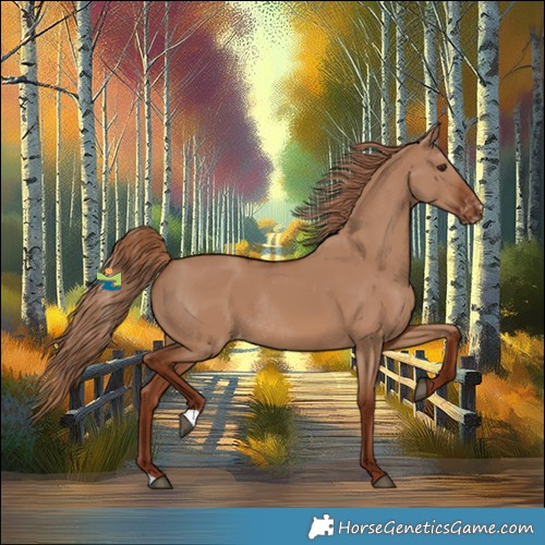 Horse Color:Red Dun Appaloosa Rabicano 