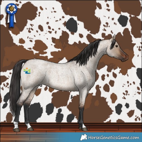 Horse Color:Brown Roan Dun Rabicano 