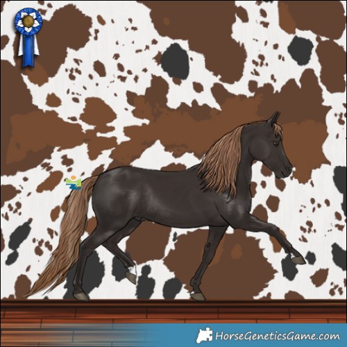 Horse Color:Liver Chestnut Rabicano 