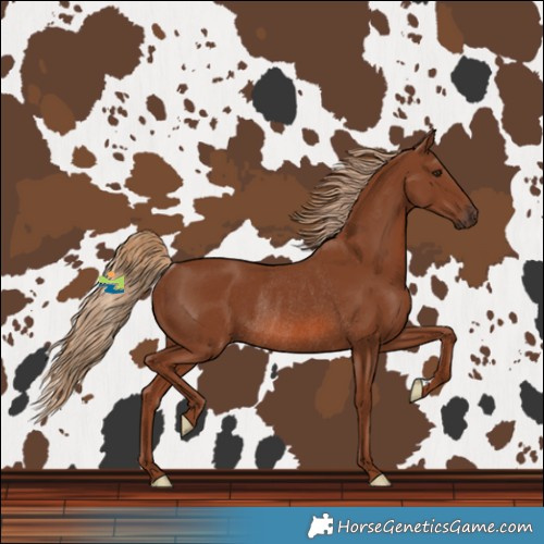 Horse Color:Chestnut Rabicano 