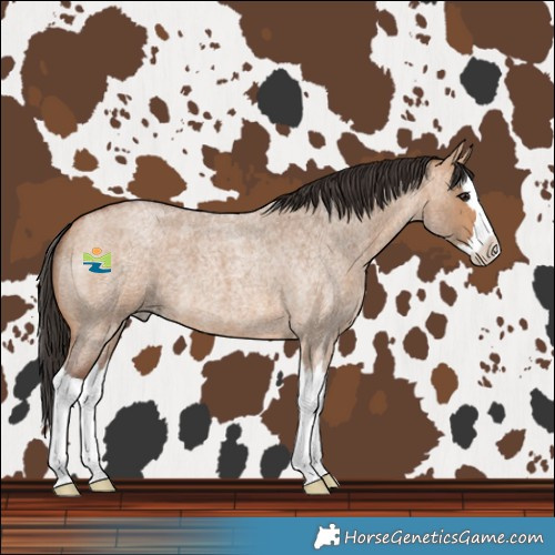 Horse Color:Bay Roan Dun Splash 