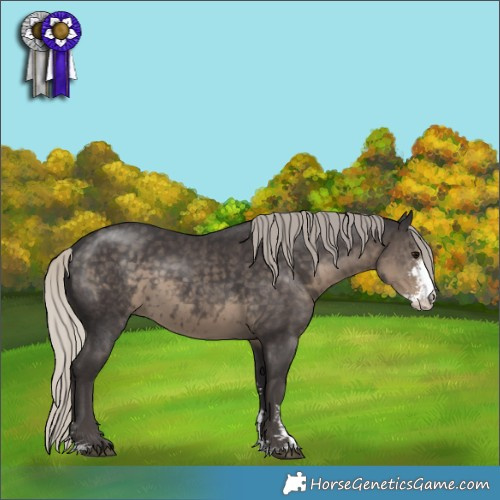 Horse Color:Silver Smoky Black Sabino 