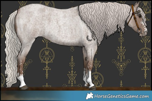 Horse Color:Silver Blue Roan Sabino 