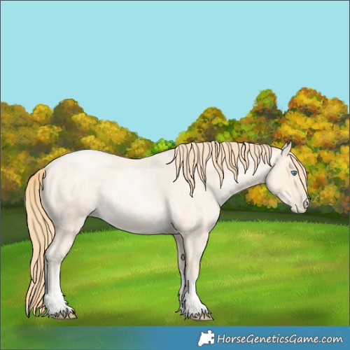 Horse Color:Buckskin Roan Pearl  and Buckskin Roan Pearl 