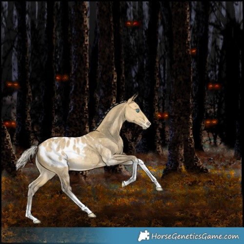 Horse Color:Silver Amber Cream Champagne Dun Mushroom Tobiano Appaloosa Rabicano