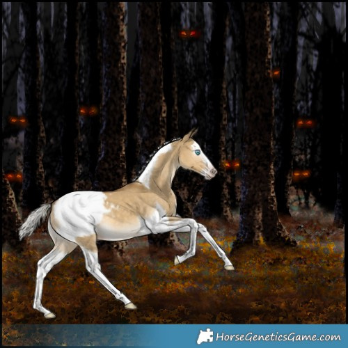 Horse Color:Gray Silver Classic Cream Champagne Dun Splash Tobiano Appaloosa