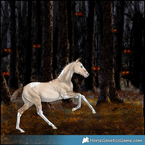 Horse Color:Gray White Spotted Gold Champagne Dun Splash Tobiano 