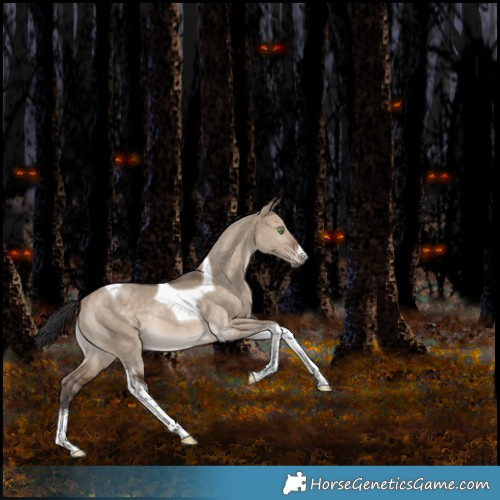 Horse Color:White Spotted Bay Dun Tobiano Rabicano