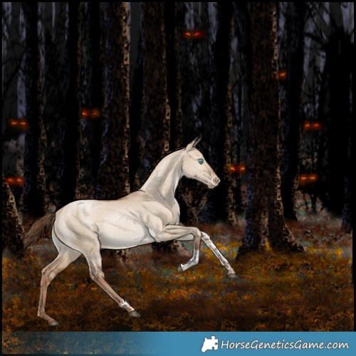 Horse Color:White Spotted Bay Pearl Dun Tobiano Appaloosa Rabicano 