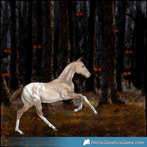 Horse Color:White Spotted Brown Pearl Dun Tobiano Appaloosa Rabicano 