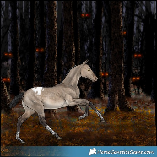 Horse Color:Brown Dun Tobiano Appaloosa Rabicano