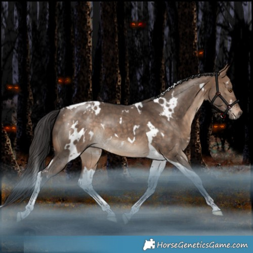 Horse Color:White Spotted Bay Dun Tobiano Rabicano