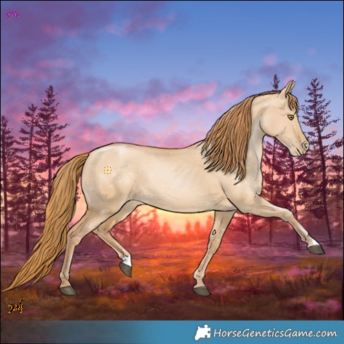 Horse Color:Red Dun Pearl 