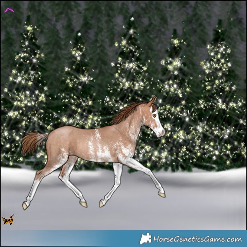Horse Color:White Spotted Brown Pearl Splash Rabicano 