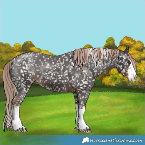 Horse Color:White Spotted Liver Chestnut Snowflake Varnish