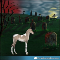 Horse Color:Brown Dun Tobiano Rabicano