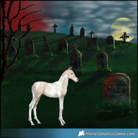 Horse Color:Bay Pearl Dun Tobiano Varnish Rabicano 