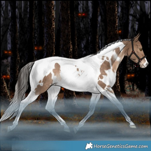Horse Color:White Spotted Liver Red Dun Tobiano Rabicano 