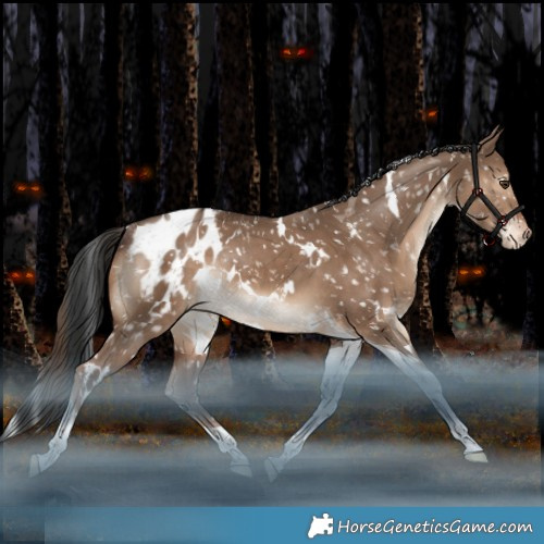 Horse Color:White Spotted Liver Red Dun Tobiano Appaloosa Rabicano 