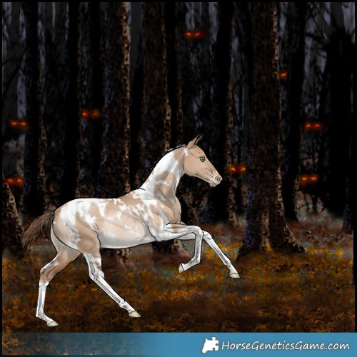 Horse Color:White Spotted Bay Pearl Dun Tobiano Rabicano 