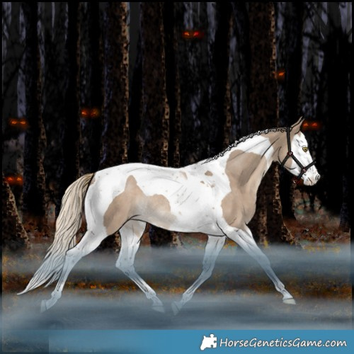 Horse Color:Liver Red Dun Splash Tobiano Appaloosa Rabicano 