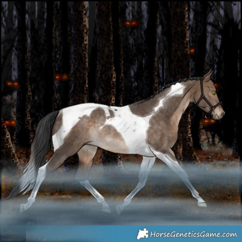 Horse Color:Bay Dun Tobiano Rabicano