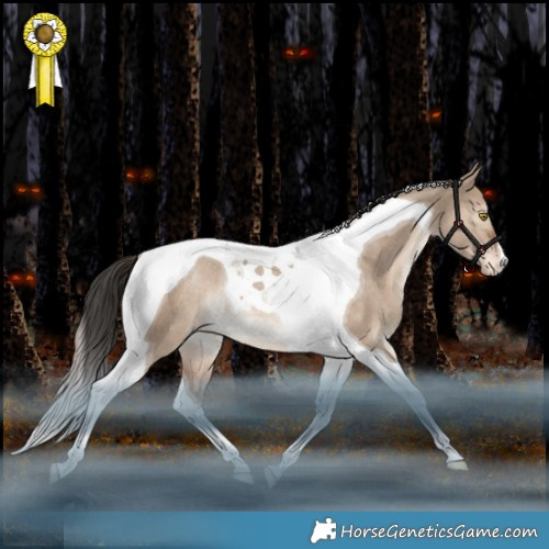 Horse Color:Liver Red Dun Tobiano Appaloosa Rabicano 