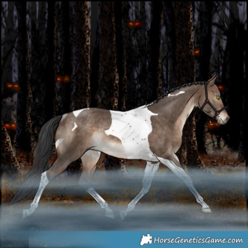 Horse Color:Bay Dun Tobiano Rabicano