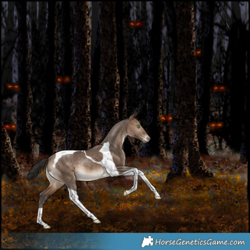 Horse Color:Bay Dun Tobiano Rabicano 