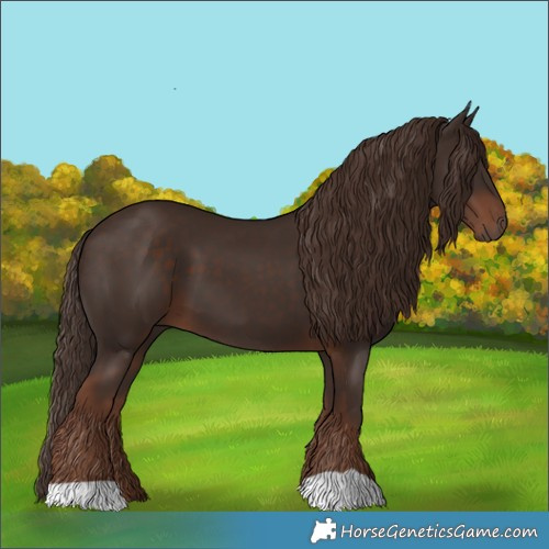 Horse Color:Liver Chestnut 