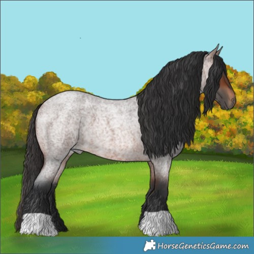 Horse Color:Brown Roan 