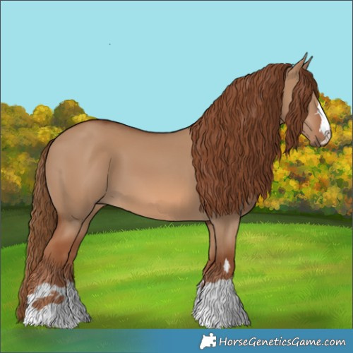 Horse Color:Red Dun 