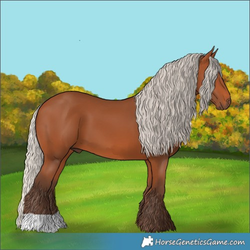 Horse Color:Silver Bay 