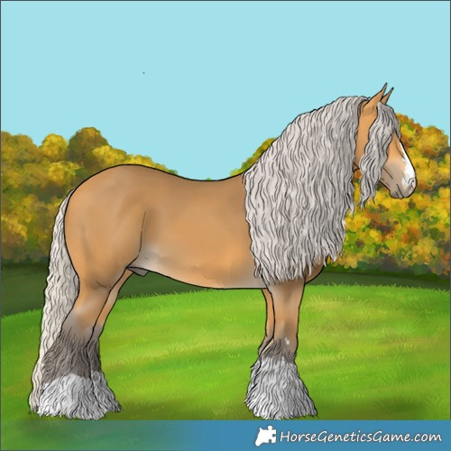 Horse Color:Silver Buckskin 