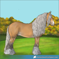 Horse Color:Silver Buckskin 