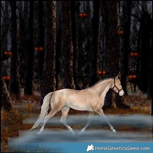 Horse Color:Liver Chestnut Snowdrop Pearl Tobiano Appaloosa Rabicano 